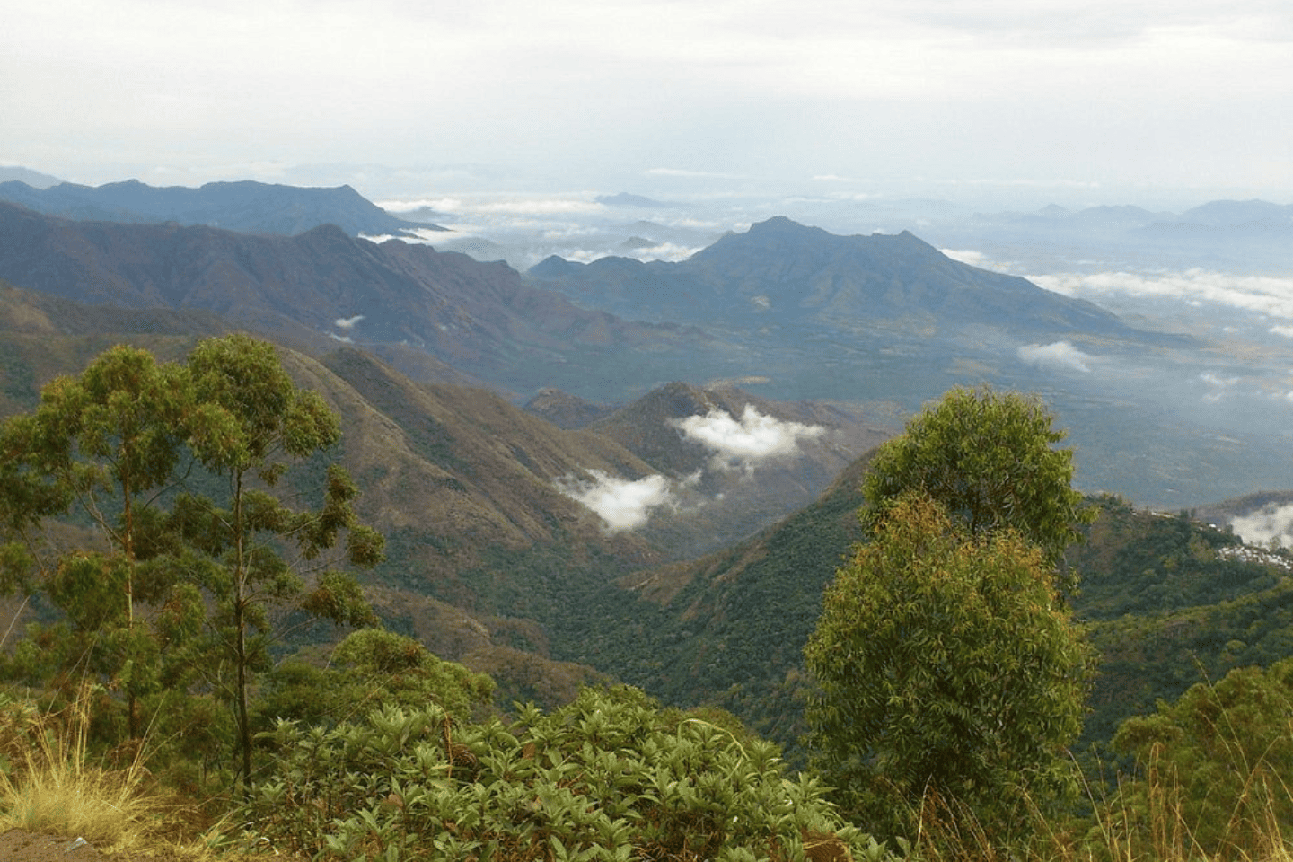 Dolphin Nose Trek