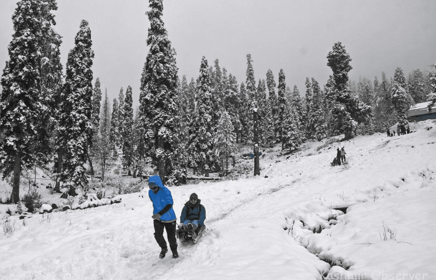 Kashmir